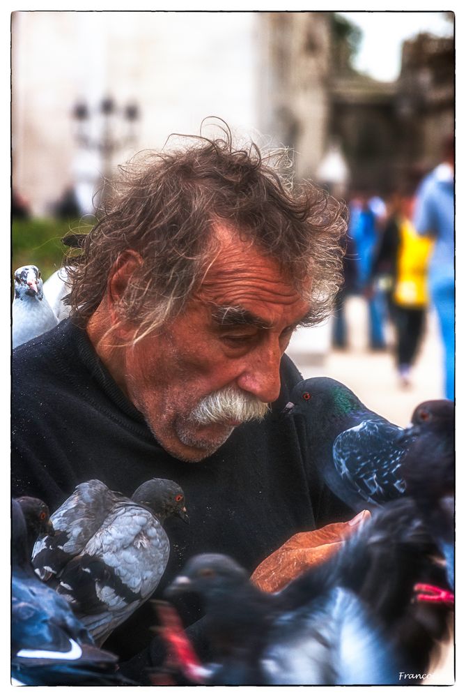 L'homme qui parle aux oiseaux