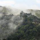 L'humidité de la jungle au petit jour - environ 50 km au sud de Kumely