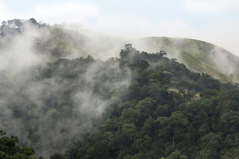 L'humidité de la jungle au petit jour - environ 50 km au sud de Kumely