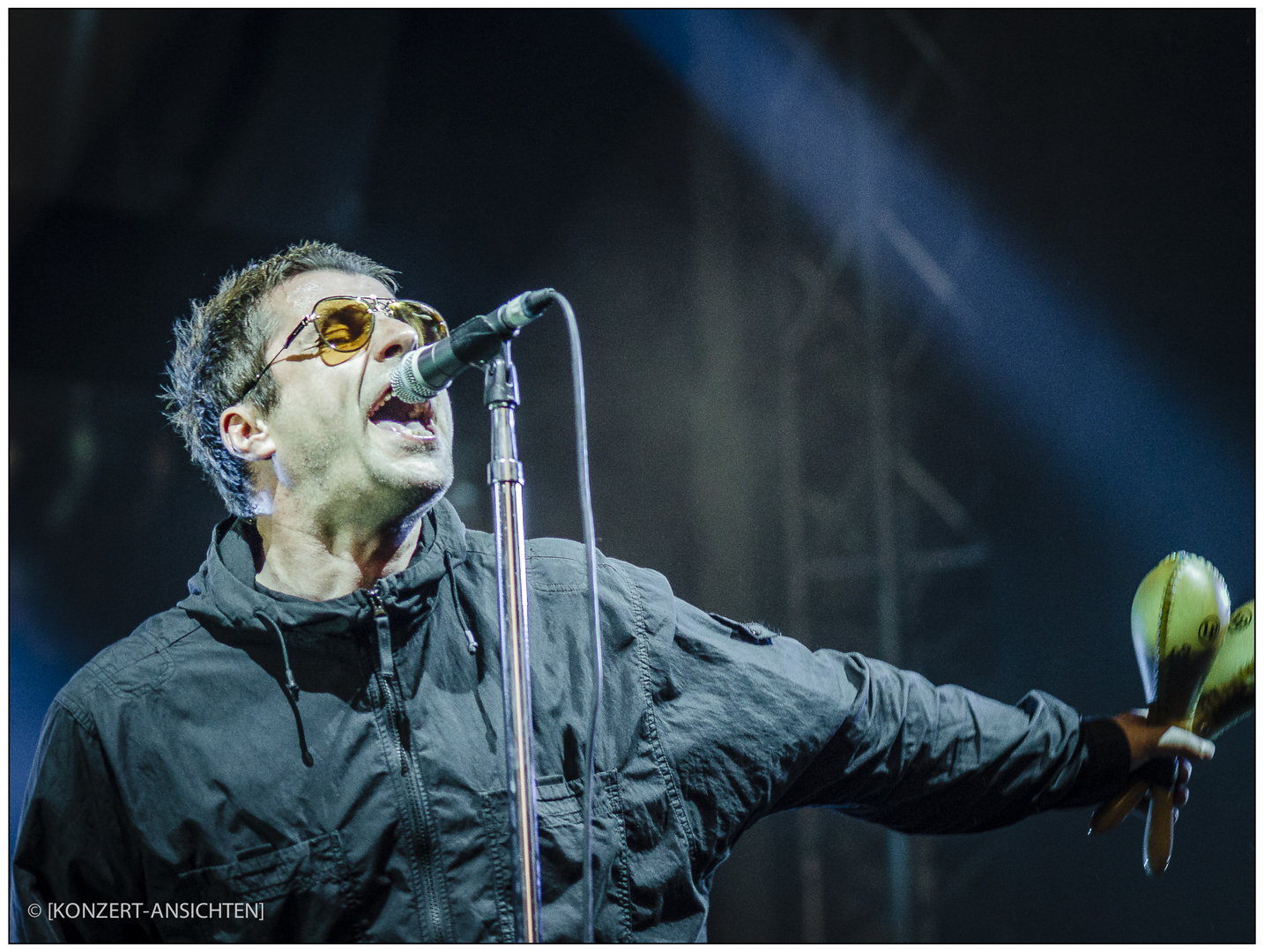 [liam gallagher - stimmen 003_2]