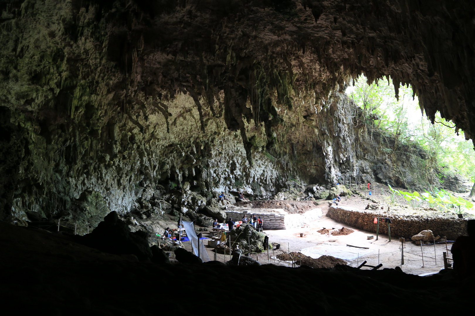 Liang Bua - 'Hobbits' on Flores, Indonesia