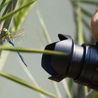 Libelle vs. Objektiv