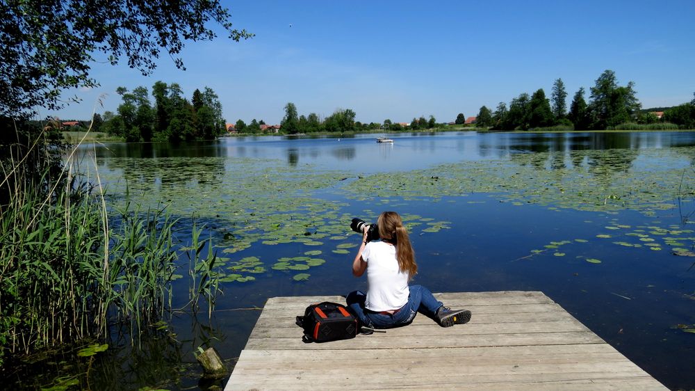 Libellenjägerin am Inkwilersee