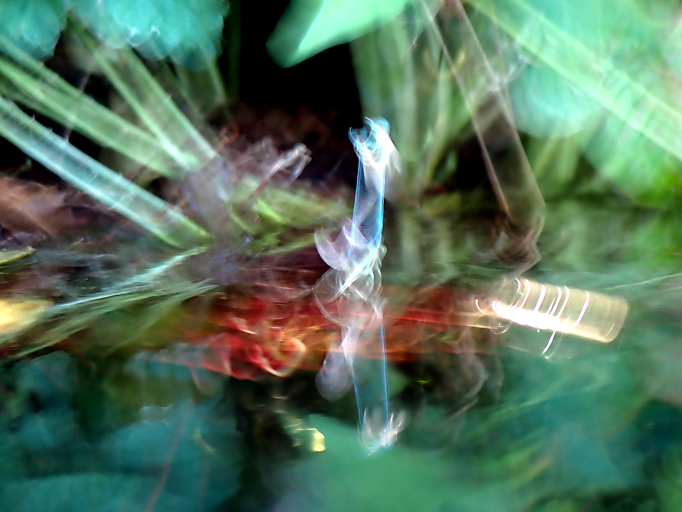 Libellenpaarung am See