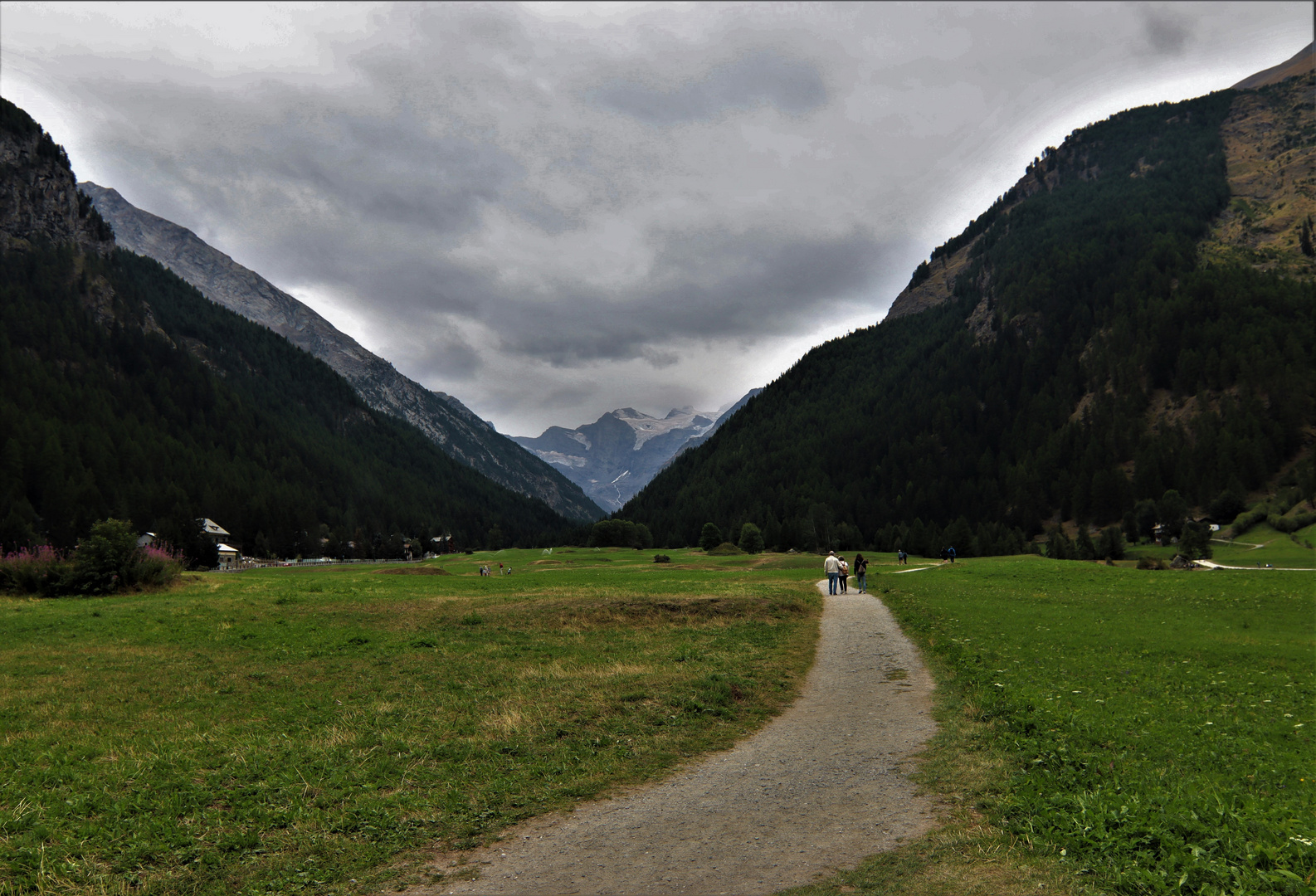 Liberi di camminare