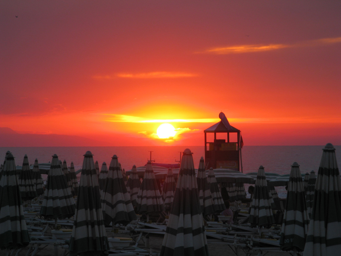 .. Libertà di un gabbiano ..