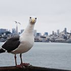 Libertad en Alcatraz