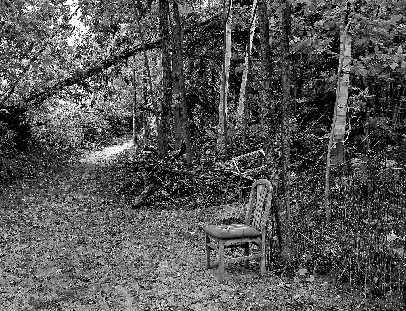 Liberté ou solitude ?