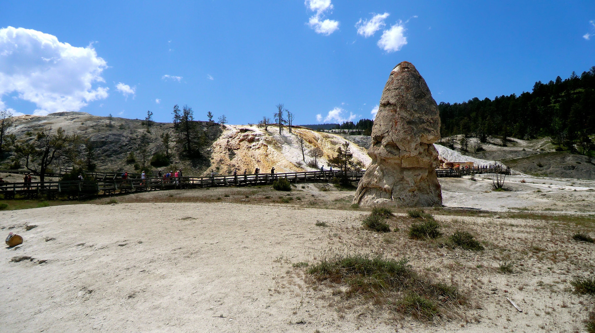 Liberty Cap