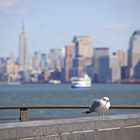 Liberty Island