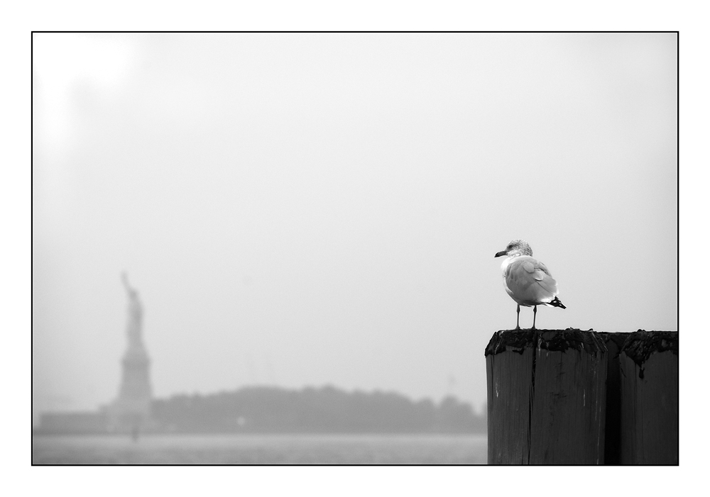 Liberty Island 1