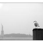 Liberty Island 1