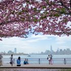 Liberty Island