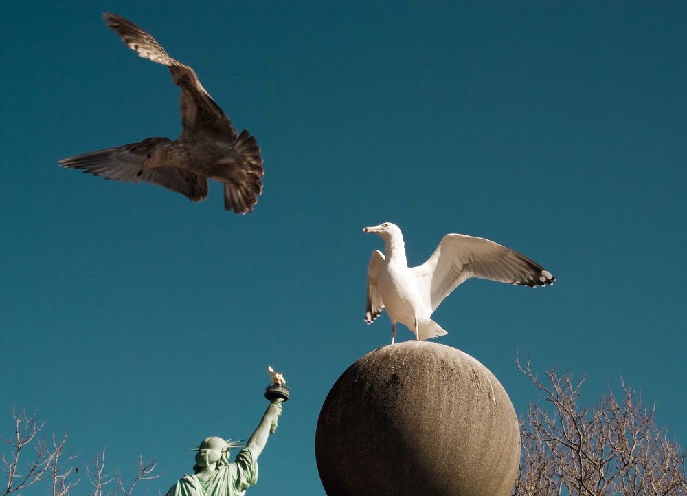 Liberty Island von crabland 