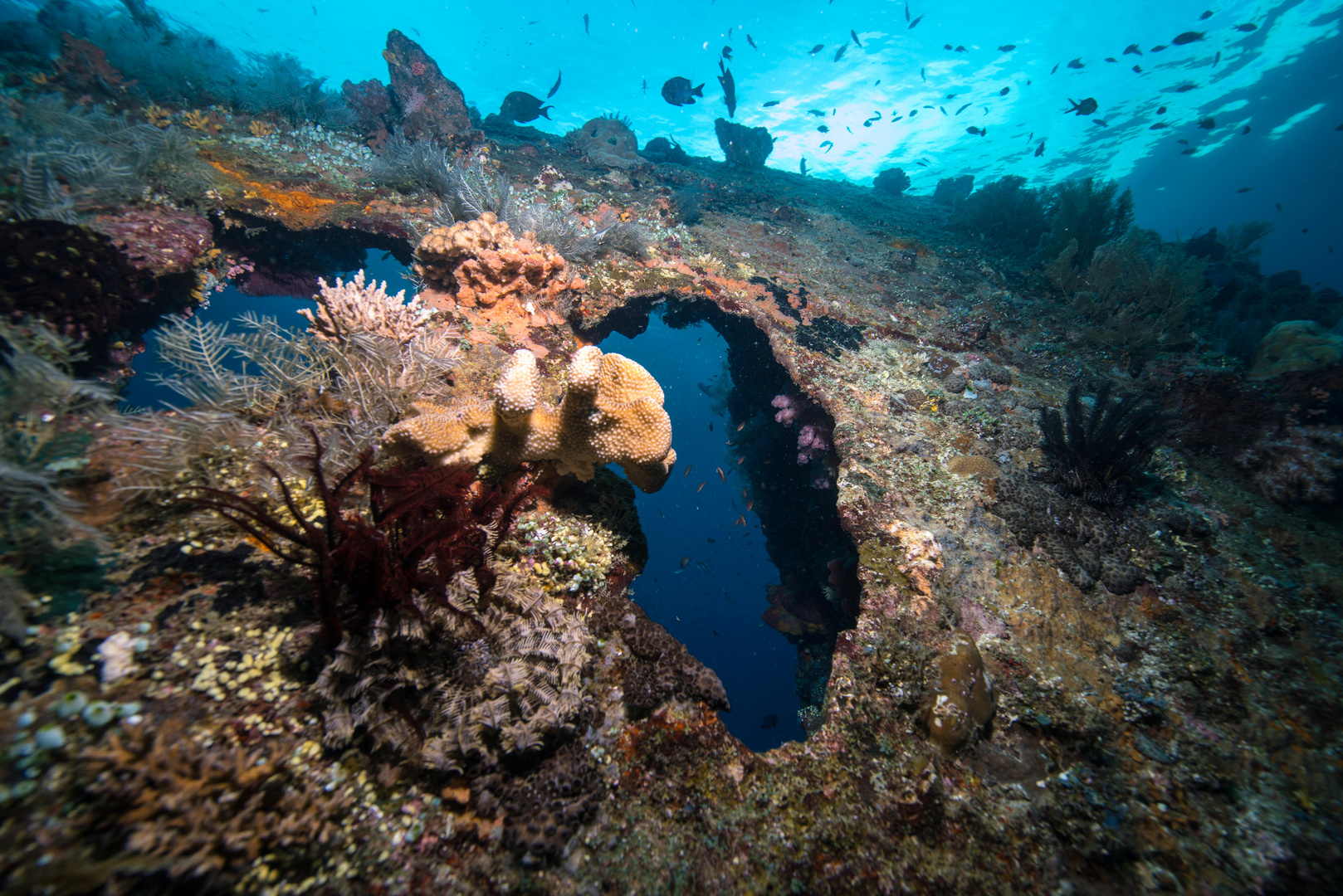 Liberty shipwreck