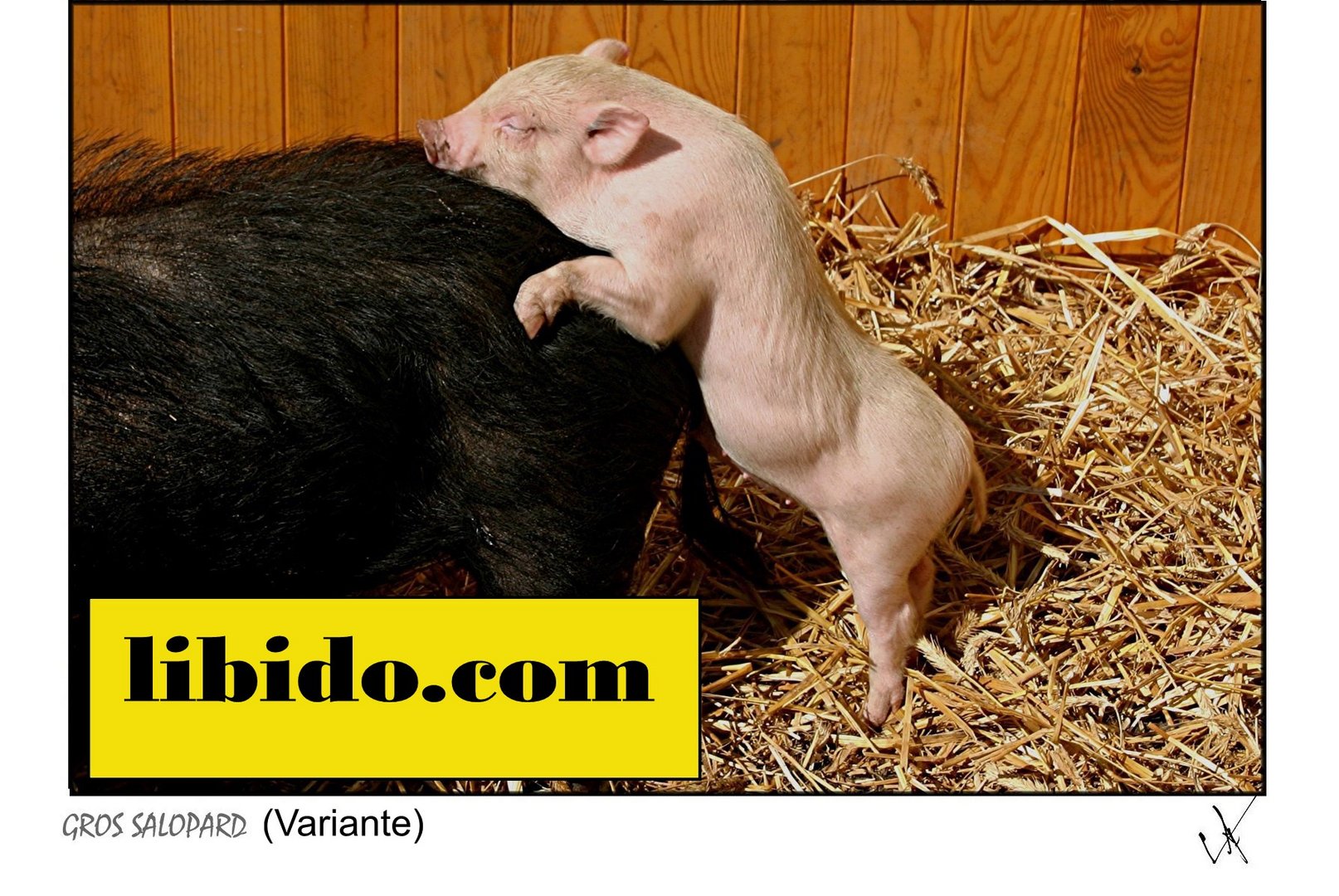 LIBIDO.COM IMPRIMABLE