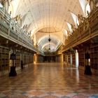 Library, Mafra, 2016