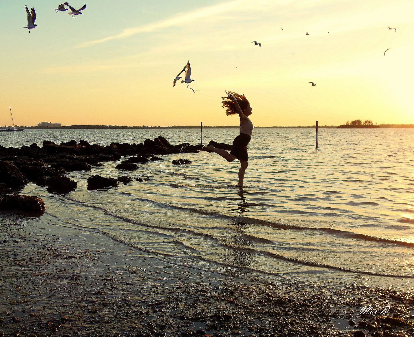 Libre como el viento