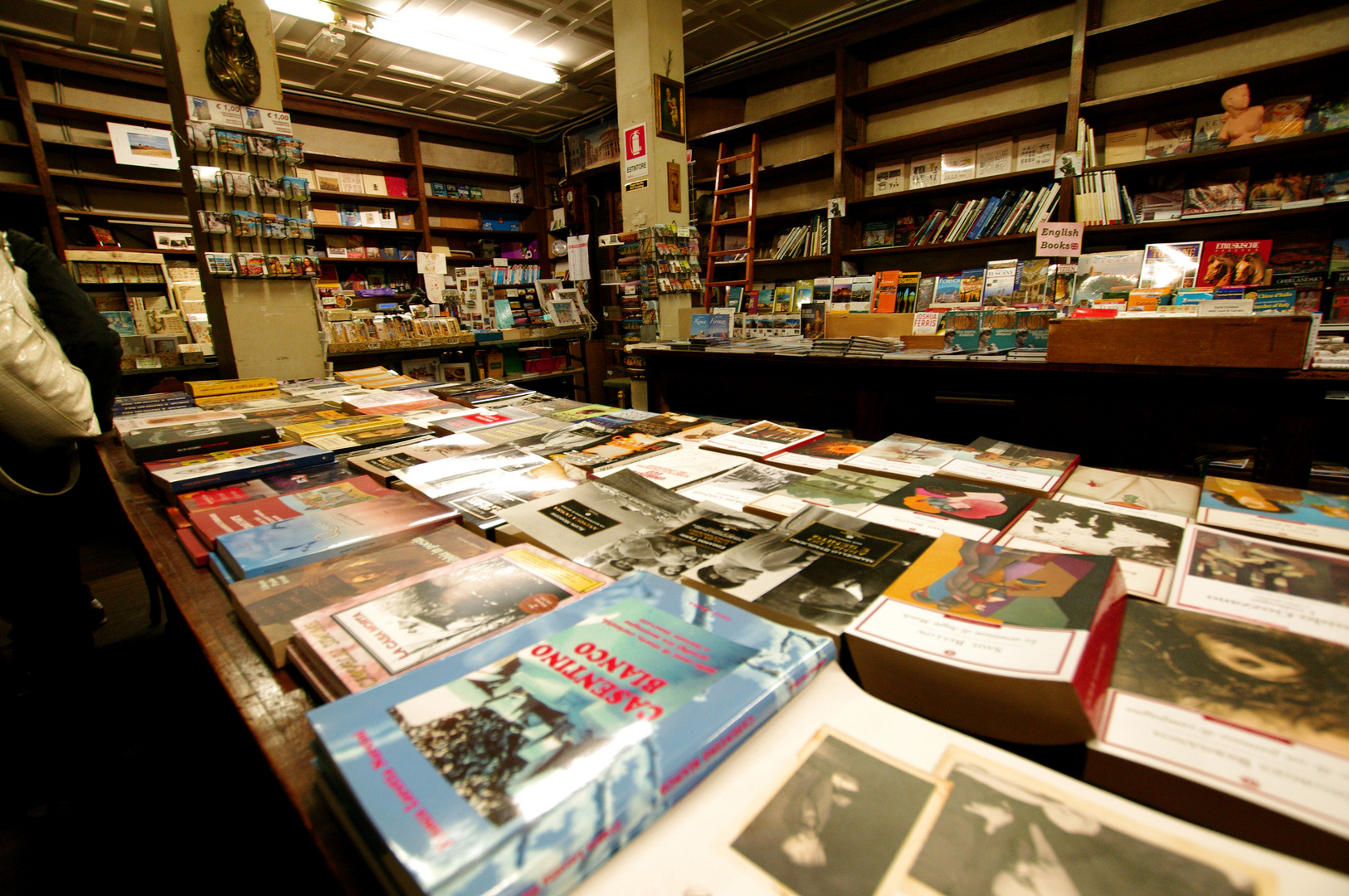 libreria IL PORCELLINO