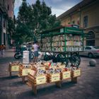 Libreria rodante/ Rolling library