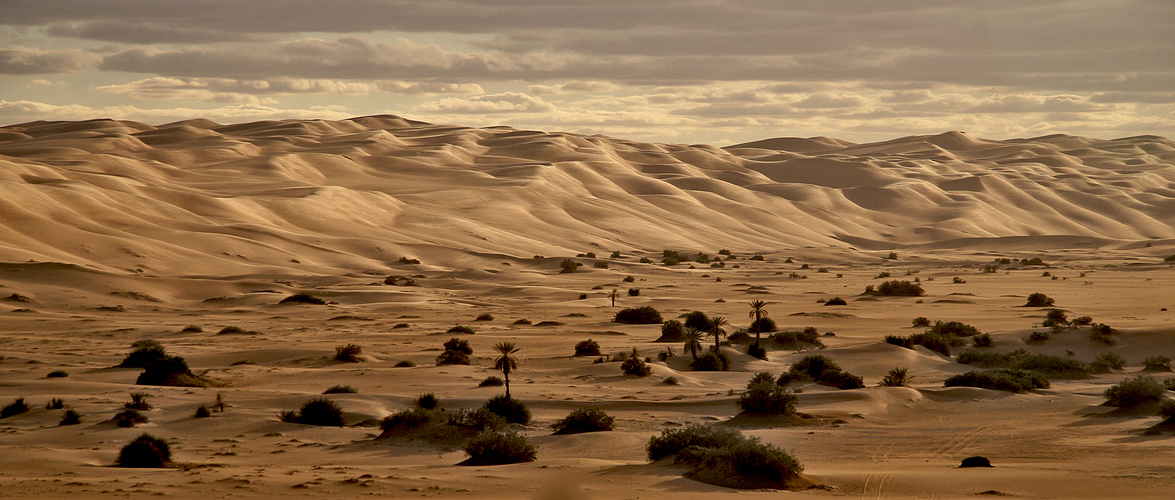 Libyan Desert