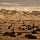 Libyan Desert