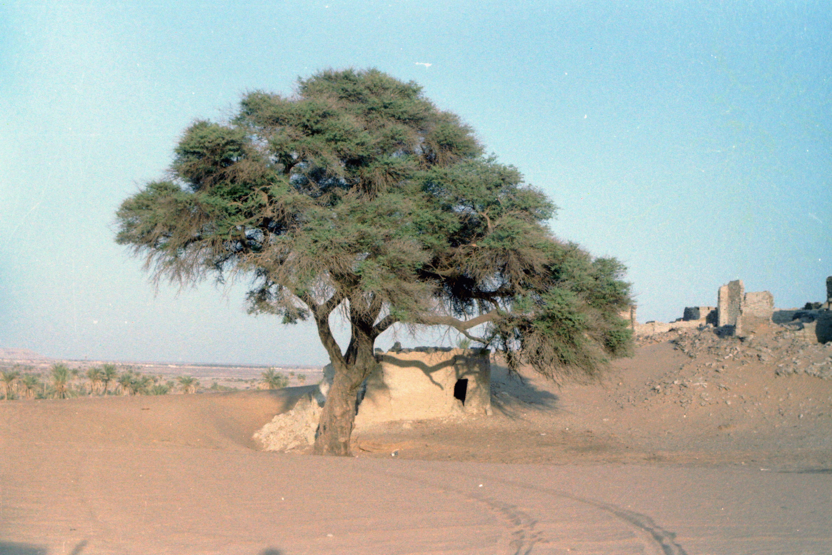 Libyen_0033