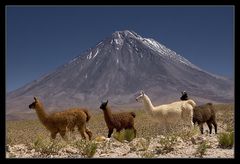 ... Licancabur ...