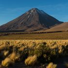 Licancabur im Abendlicht