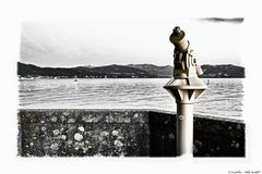 lichen on wall with telescope # Flechten auf Mauer mit Fernrohr