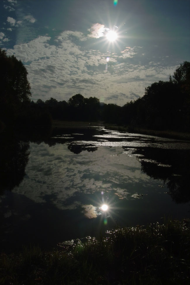 Lichspiel am See