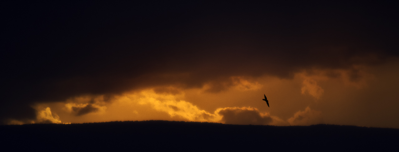 Lichstimmung nach Sonnenuntergang