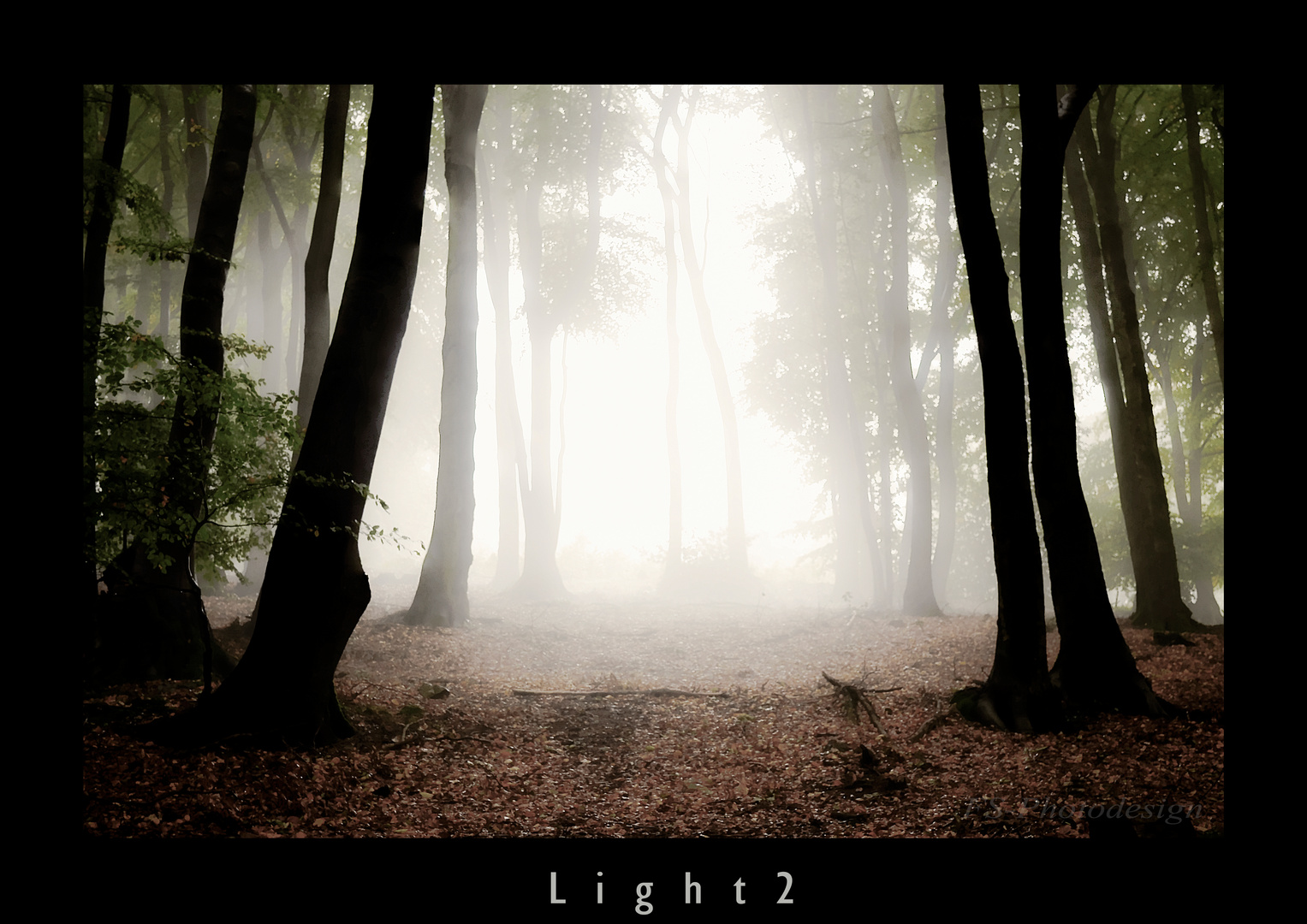 "Licht 2"