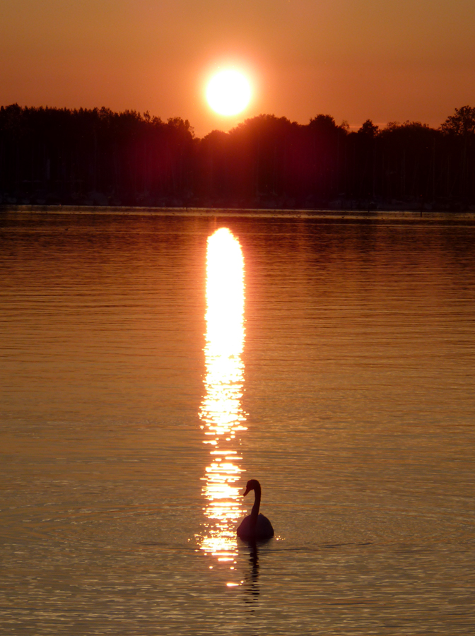 Licht am Abend