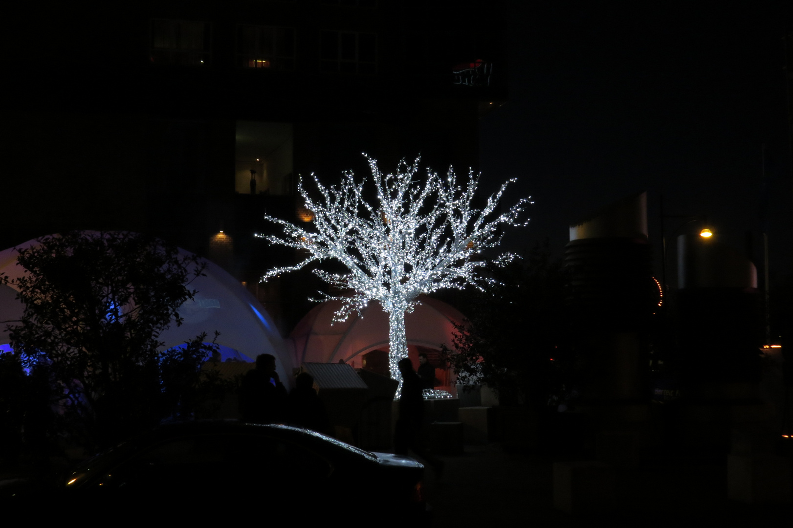 Licht am Baum