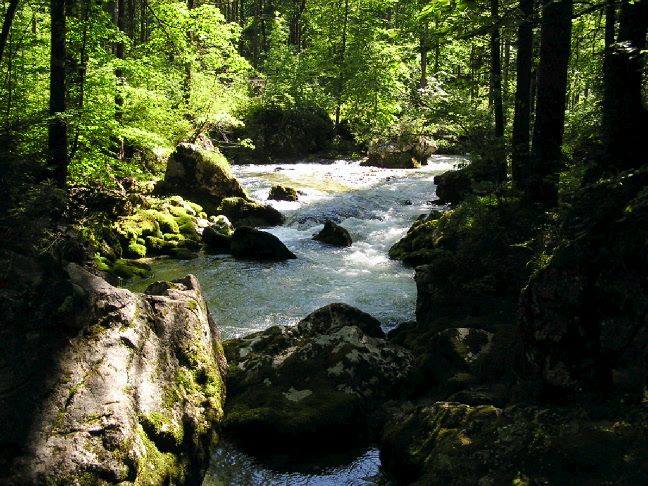 Licht am Ende der Schlucht