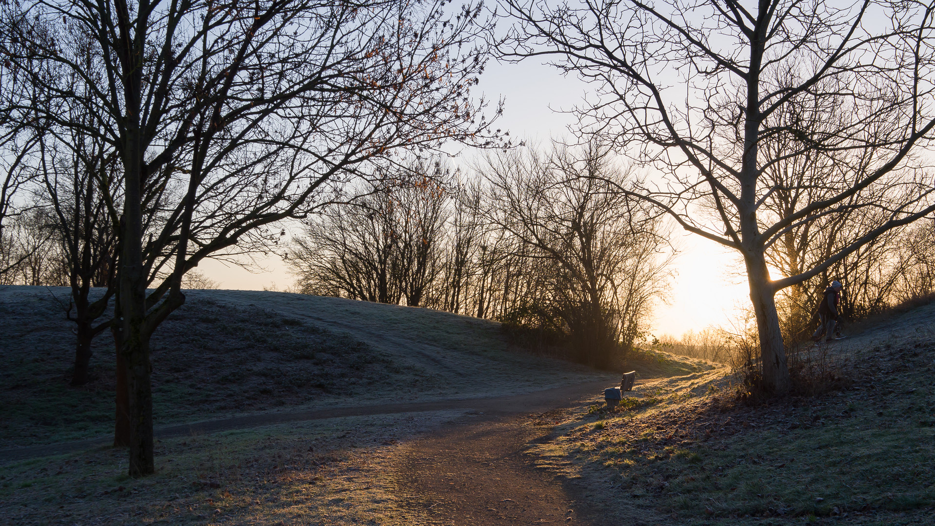 Licht am Ende der Wege - 