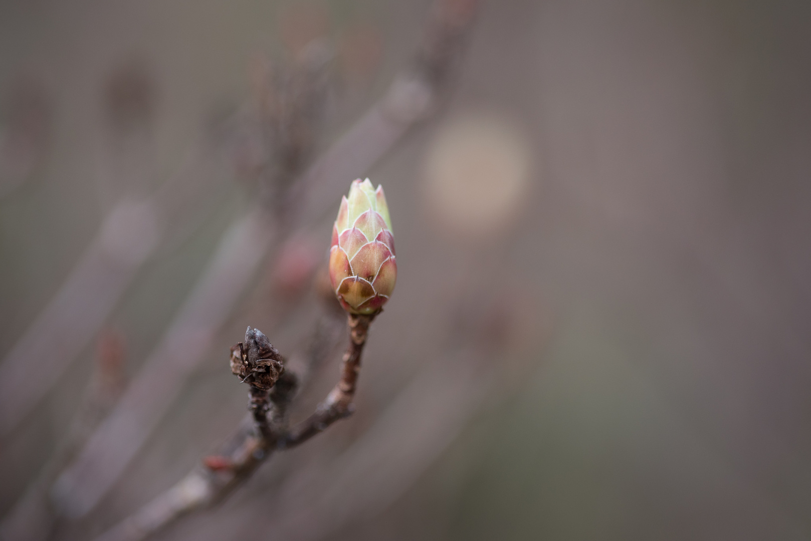 Licht am Ende des GRAUS - endlich