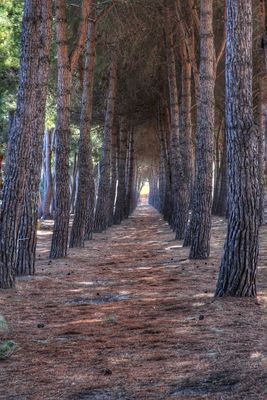 Licht am Ende des Lebens 