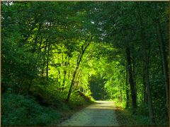 Licht am Ende des Tunnels