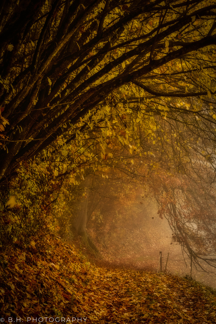 Licht am Ende des Tunnels.