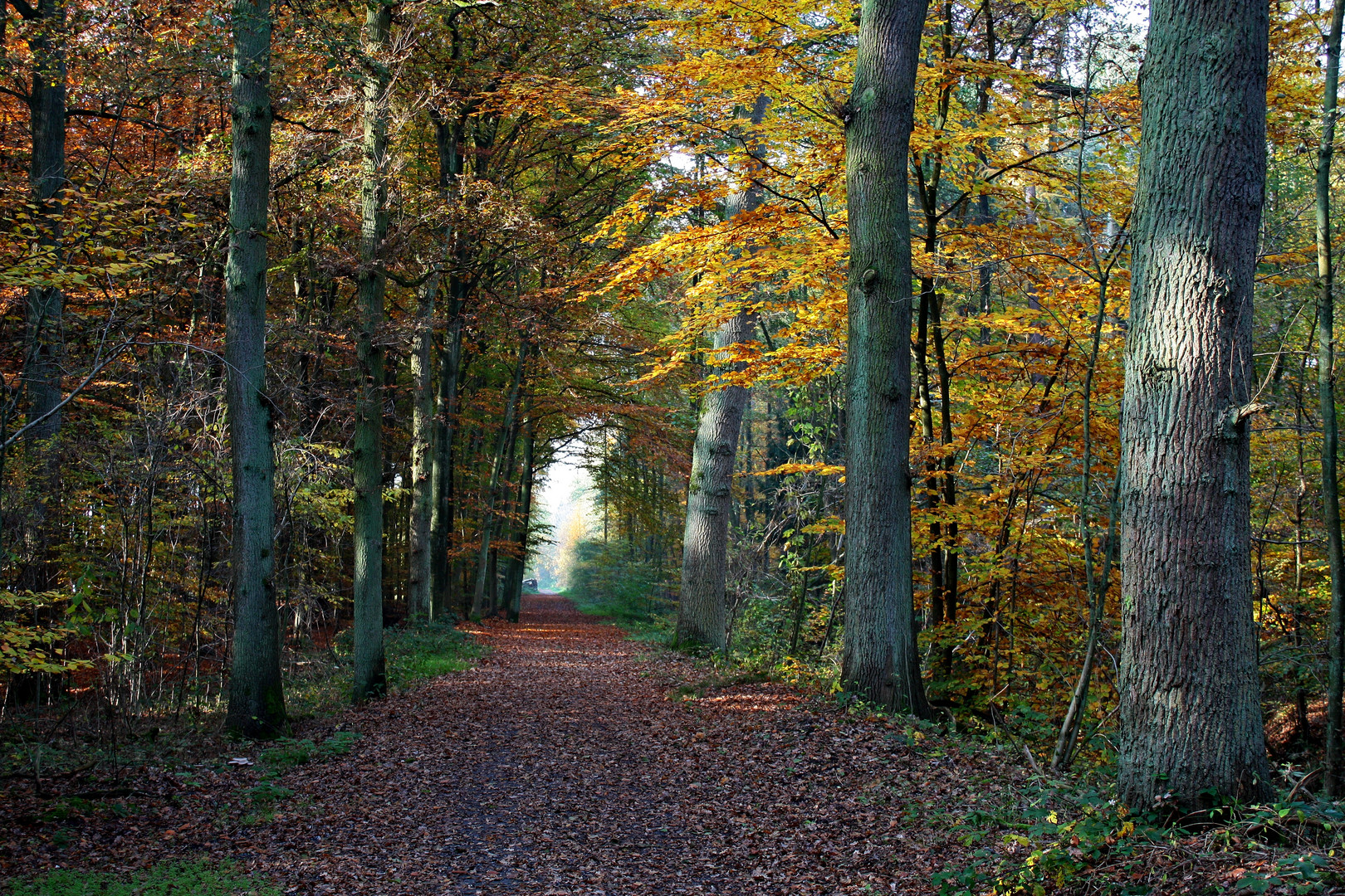 Licht am Ende des Tunnels