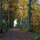 Licht am Ende des Tunnels