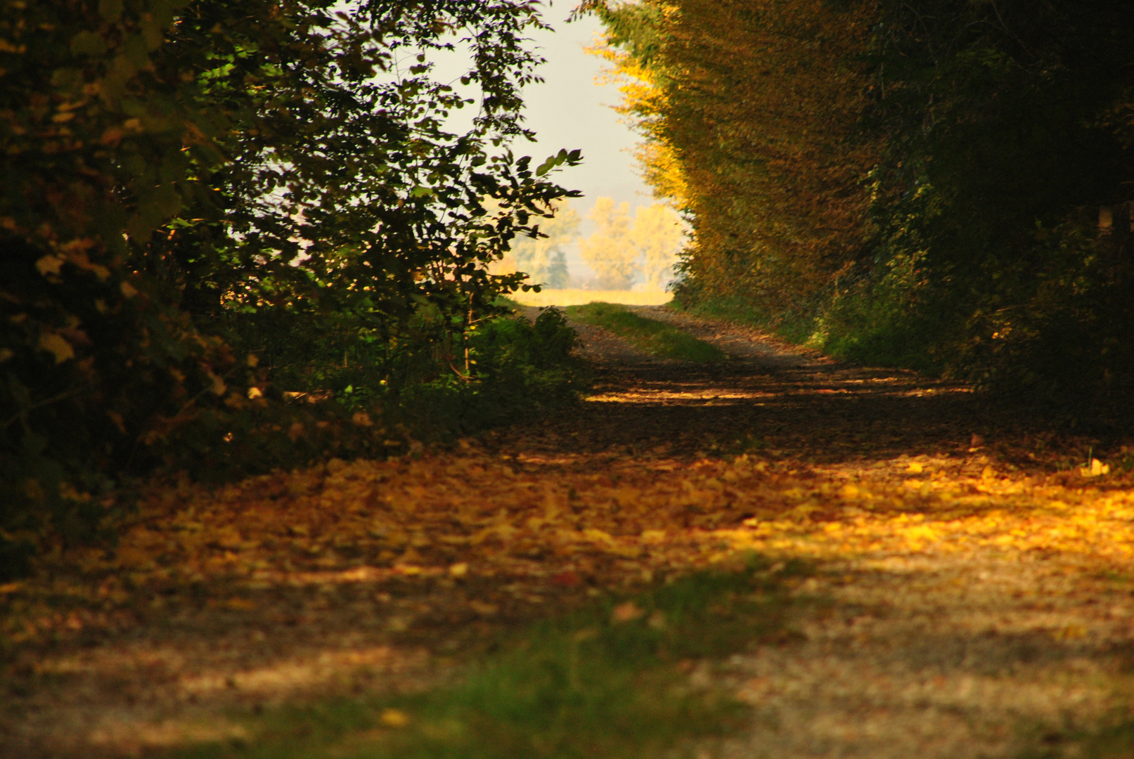 Licht am Ende des Tunnels