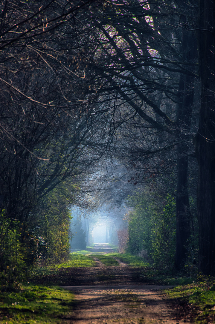 Licht am Ende des Tunnels