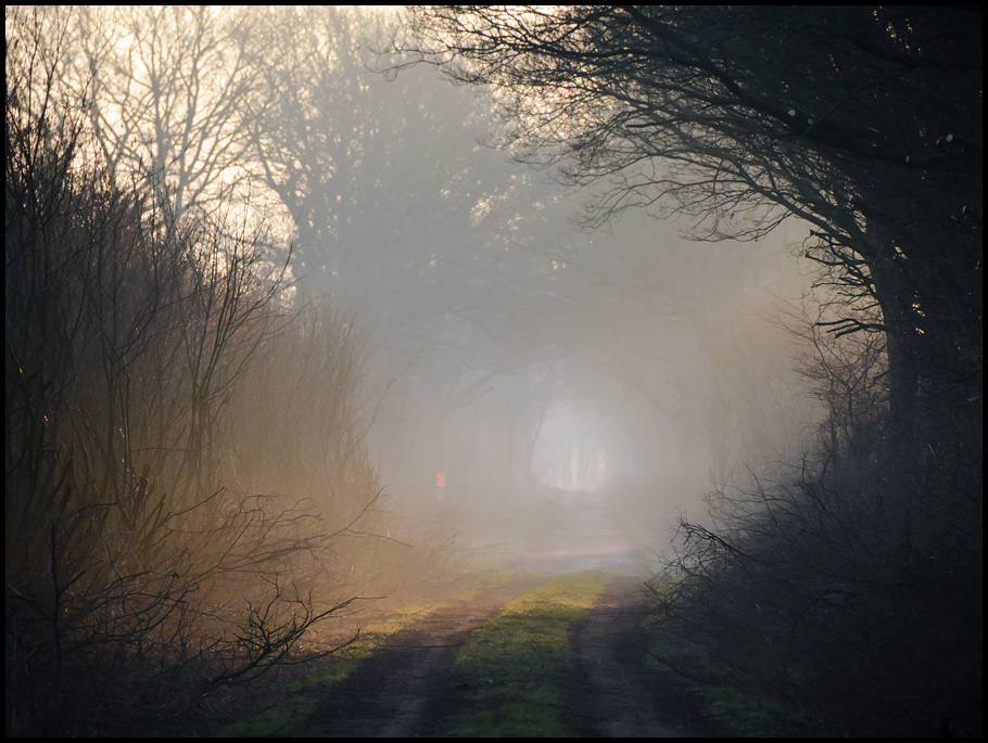 Licht am Ende des Tunnels