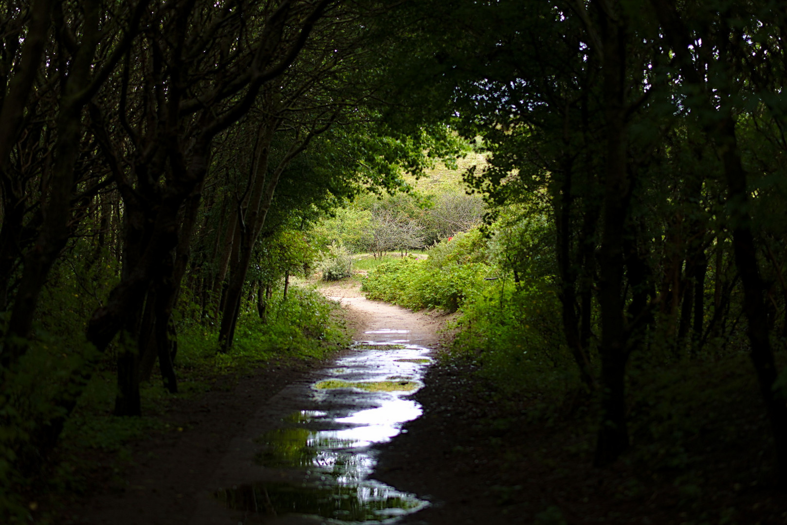 Licht am Ende des Tunnels