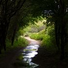 Licht am Ende des Tunnels