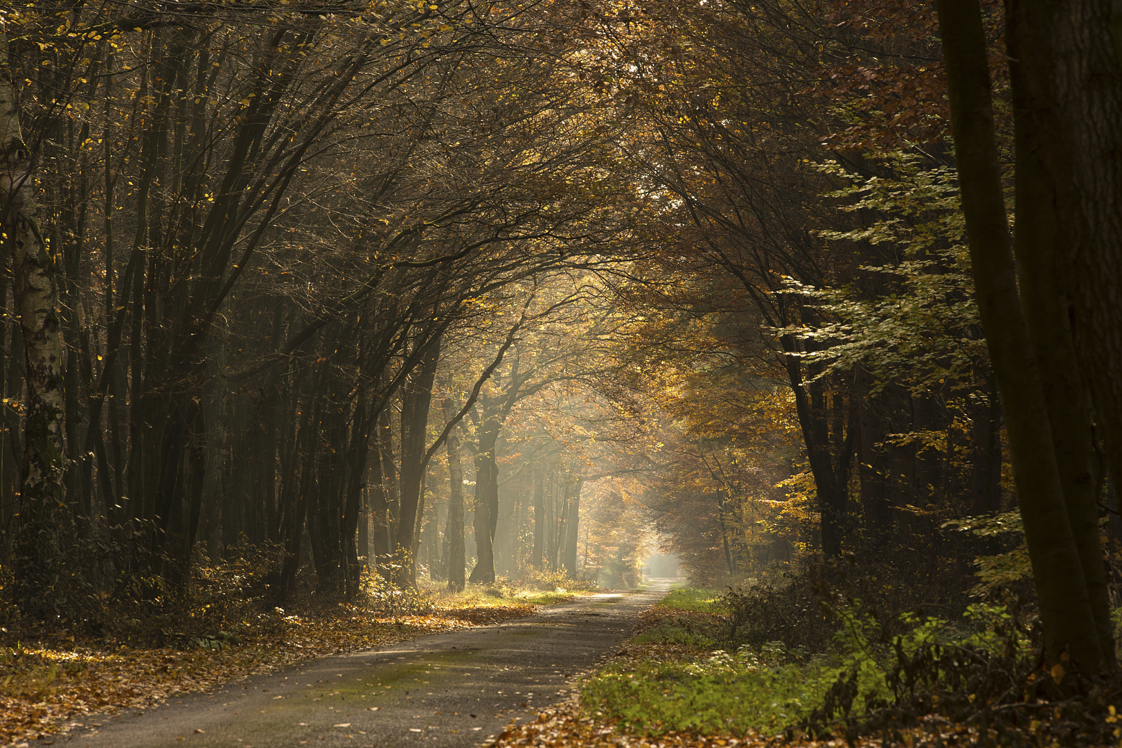 Licht am Ende des Tunnels?