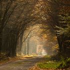 Licht am Ende des Tunnels?